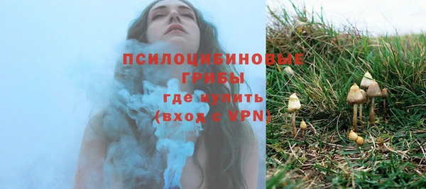 гашик Верхний Тагил