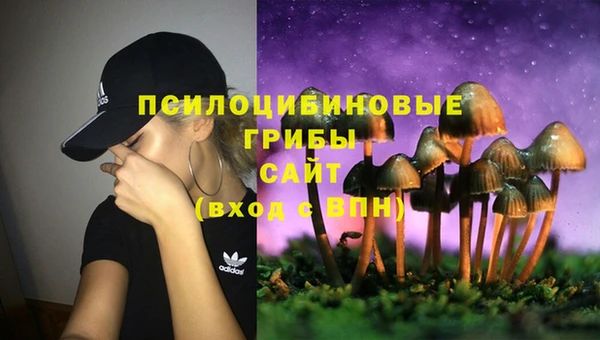 гидра Верхнеуральск